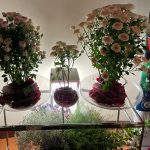 Importance of Flowers